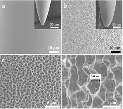 Figure 1 Surface Images