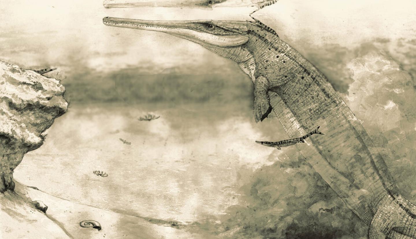 Artist's Impression Of 150 Million-Year-Old <i>Cricosaurus bambergensis</i>