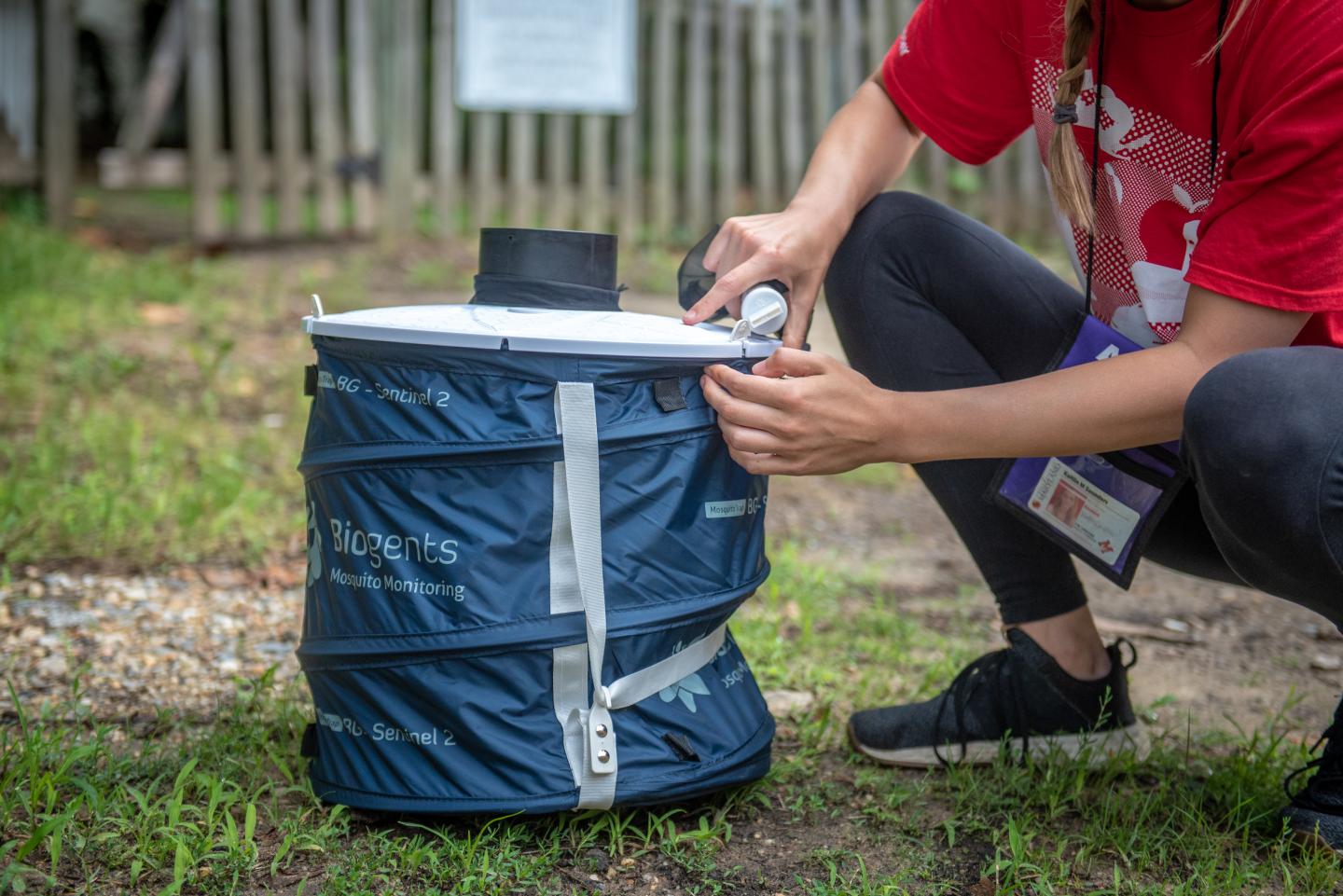 Checking a mosquito trap in Baltimore, MD