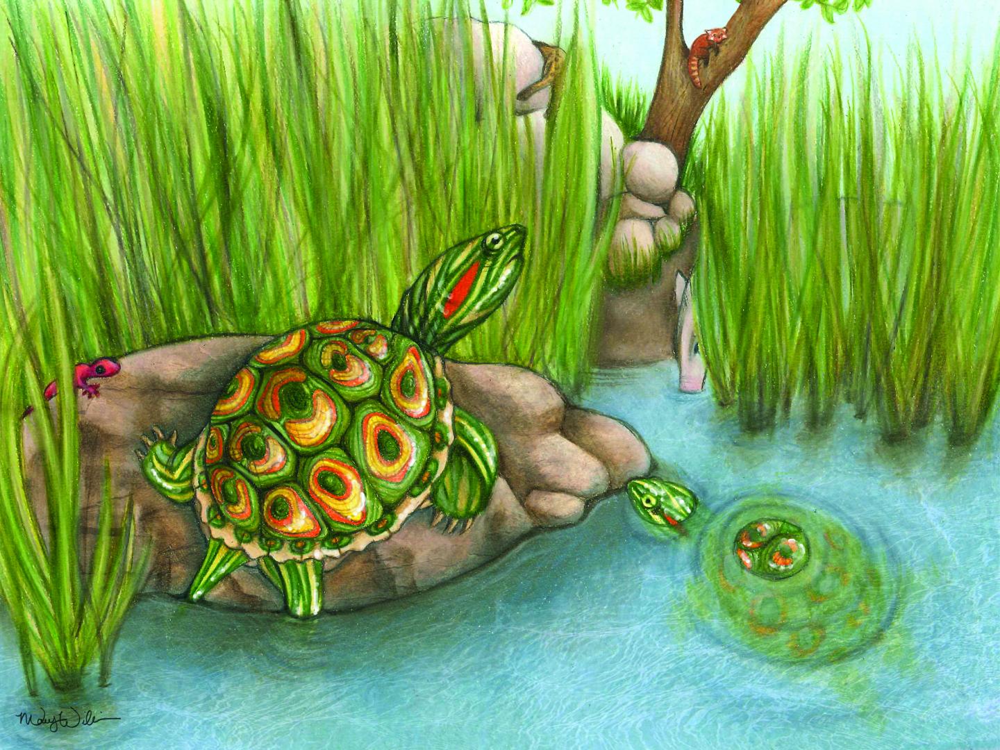 Reconstruction of An Ancient Slider Turtle
