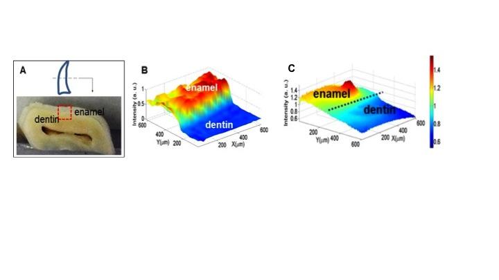 FastRAM Analysis Would Save Time and Money