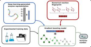 Schematic diagram of the prediction process for the turnover numbers of enzymatic reactions