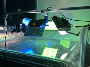 quasi-two-dimensional laboratory flow system