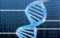 DNA Genome Data