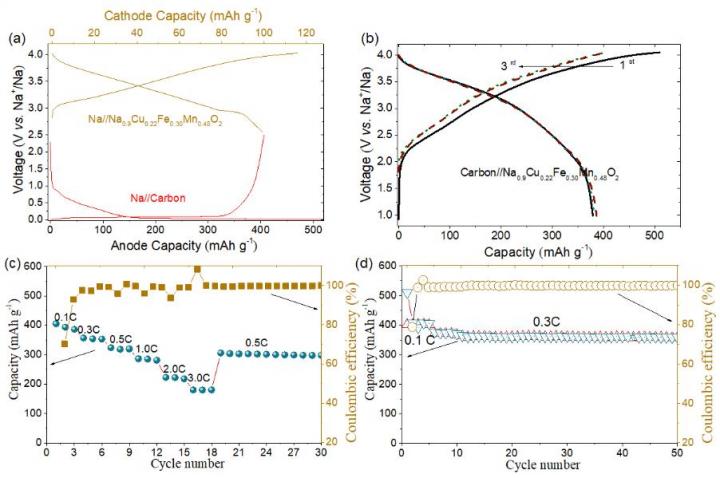 Schematic Illustration