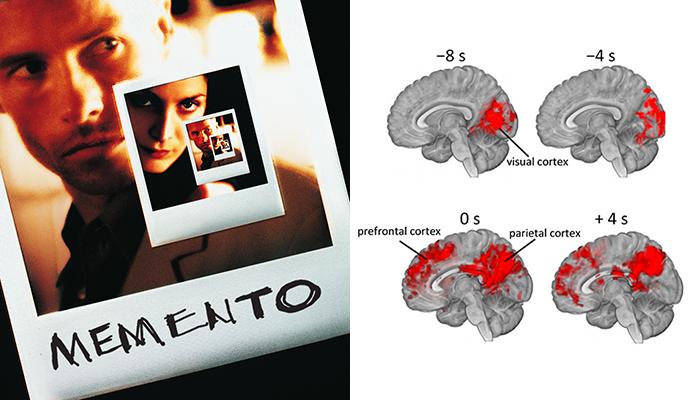 Brain Regions Processing the Clue-Providing Key Scenes