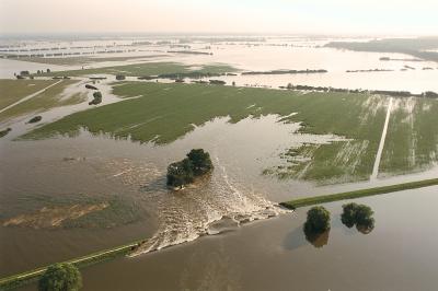 Flood 2002