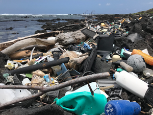Marine debris on Kamilo Point, Hawaiʻi