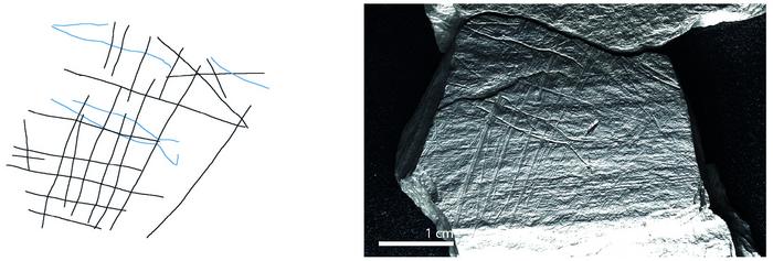 Upper Palaeolithic fishing techniques: Insights from the engraved plaquettes of the Magdalenian site of Gönnersdorf, Germany