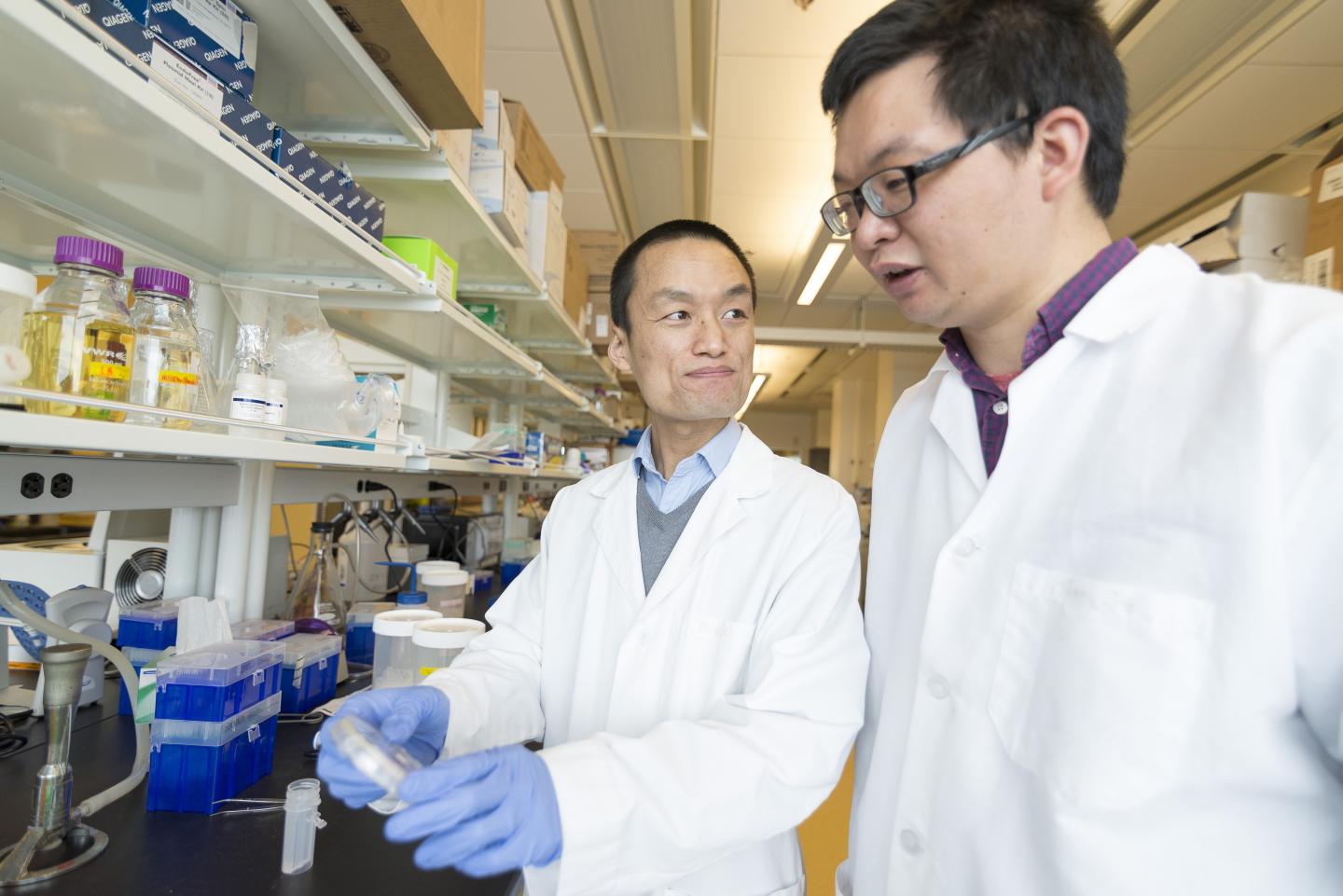 Cheng and Xia in WSU Spokane lab
