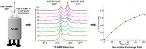 Rapid Method to Detect Arf6 Guanine Nucleotide Exchange Factor (GEF) Activity