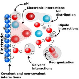 The electrochemical interface