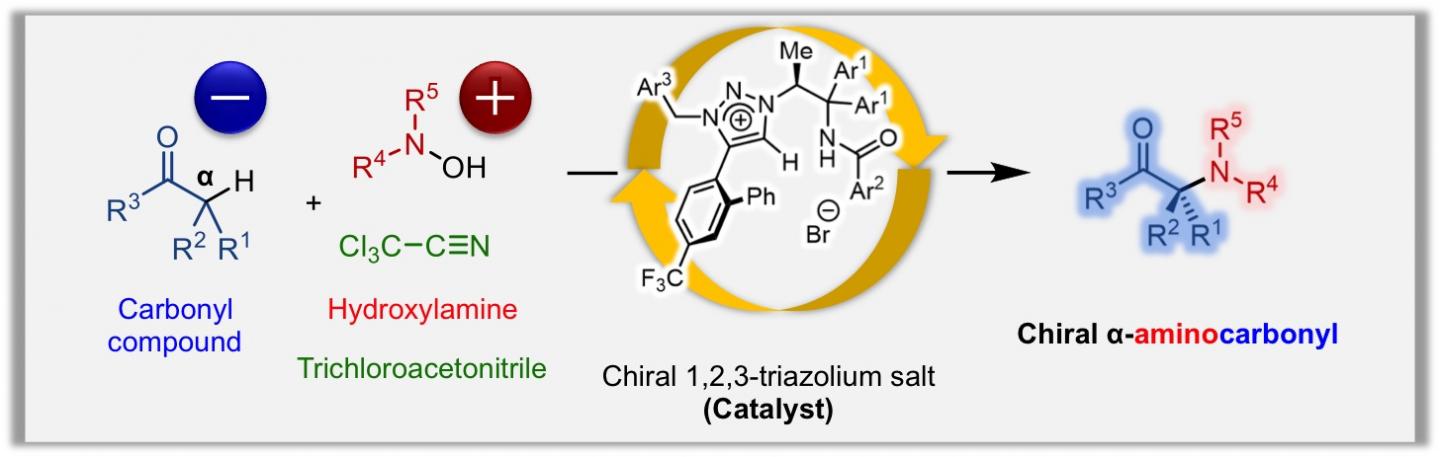 Direct Catalytic Asymmetric Introduction Of Non-Protected Amino Groups At The α-Position Of Carbonyl