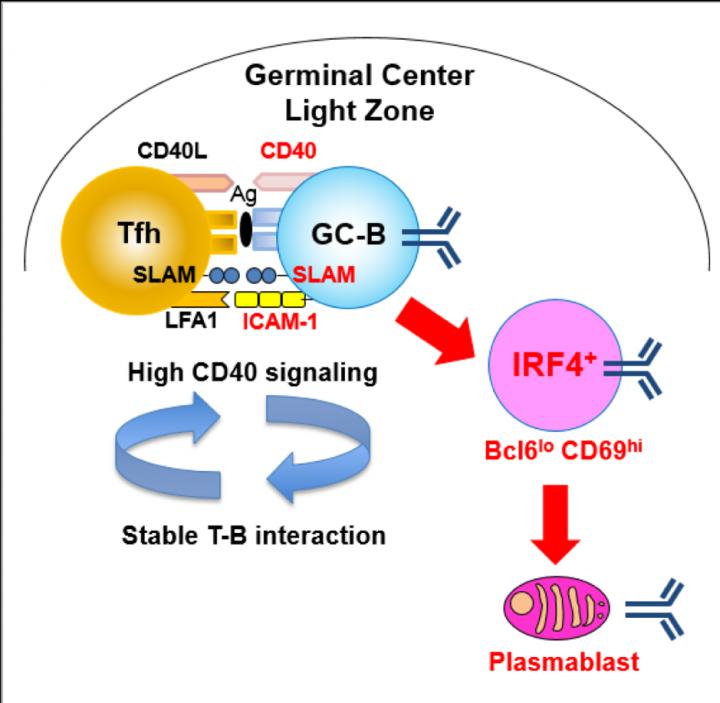 Fig.1. Graphical Abstract