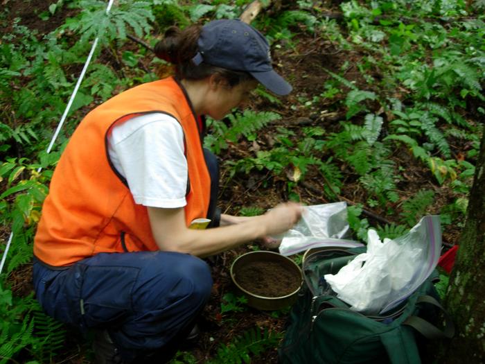 Ashley Keiser, collecting soil at the Coweeta LTER site in North Carolina