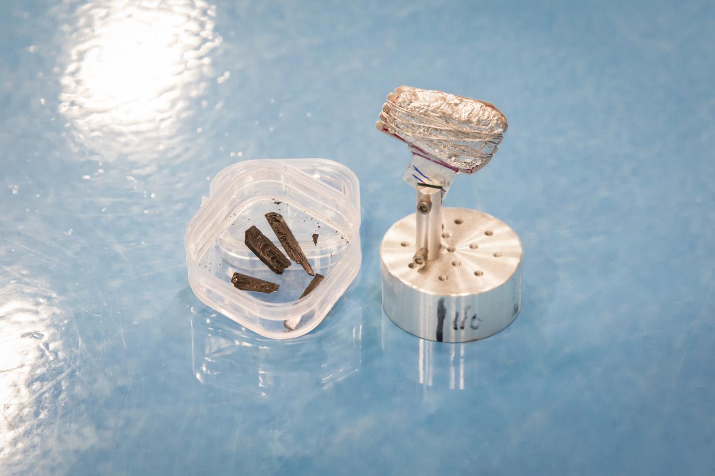 Neutrons Detect Elusive Higgs Amplitude Mode in Quantum Material