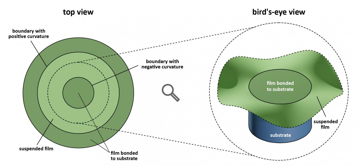 Ring-Shaped Diamond Windows