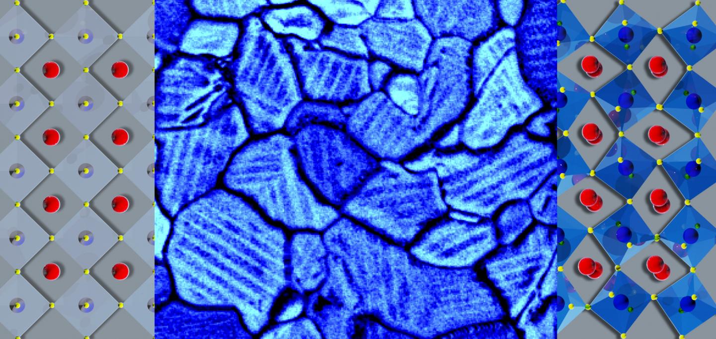 Twin Domains in a Material that Harvests Energy from Light