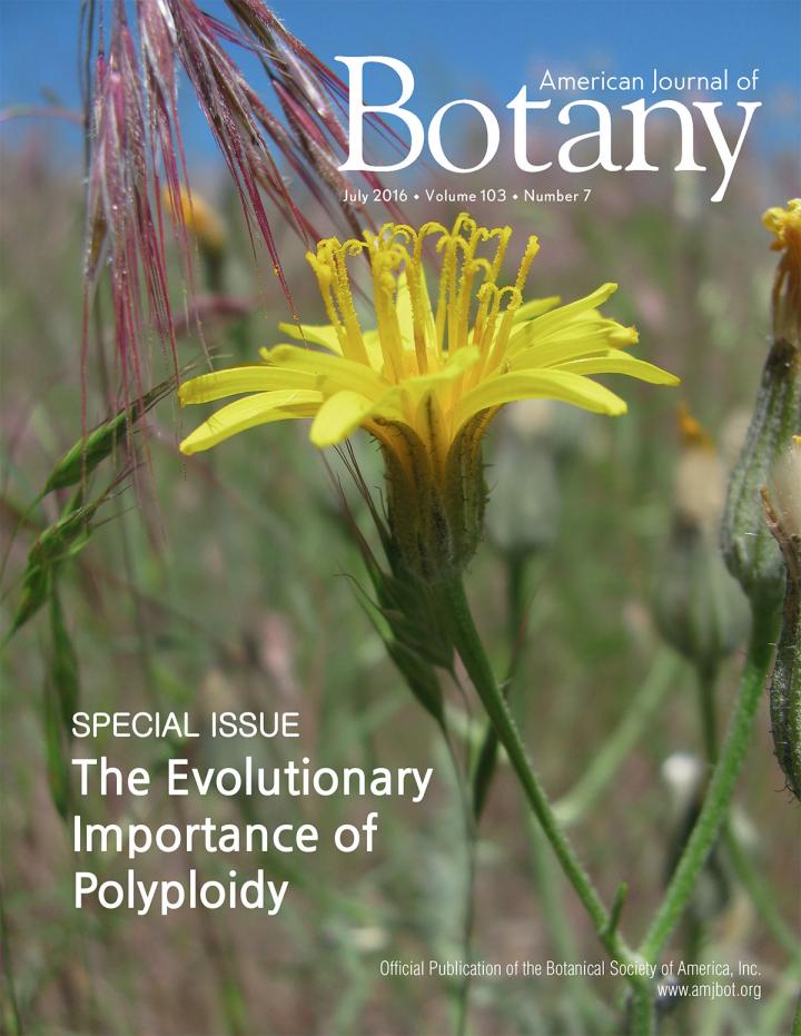 <i>American Journal of Botany</i> Special Issue cover