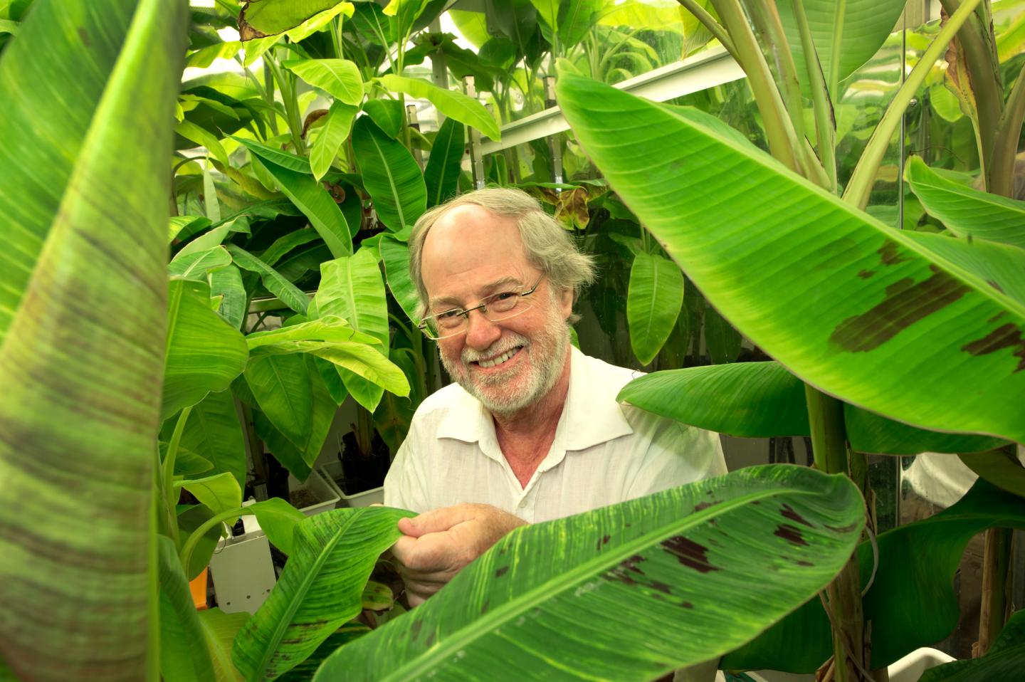 James Dale, 	Queensland University of Technology