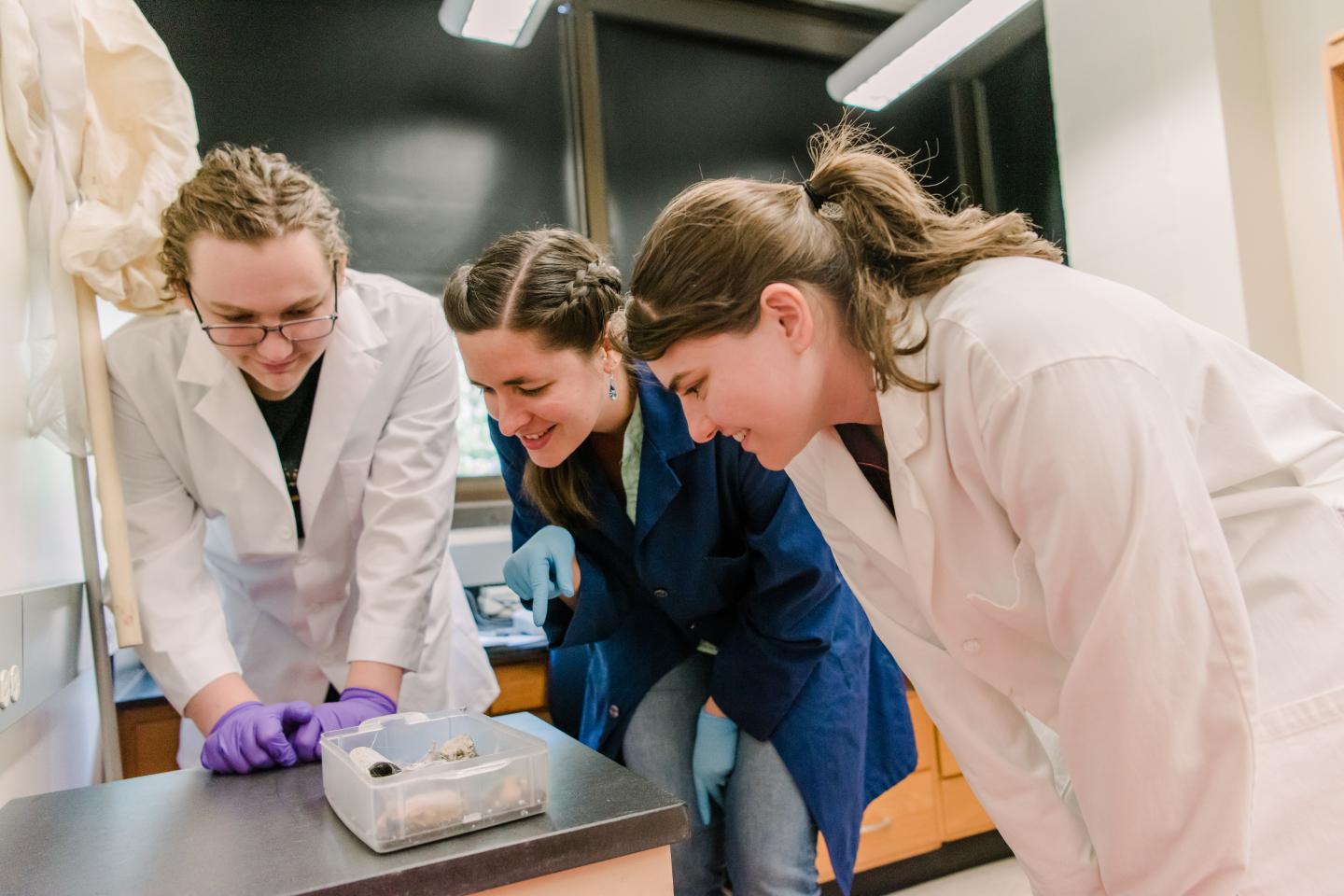 Spider Glue Research (2 of 2)