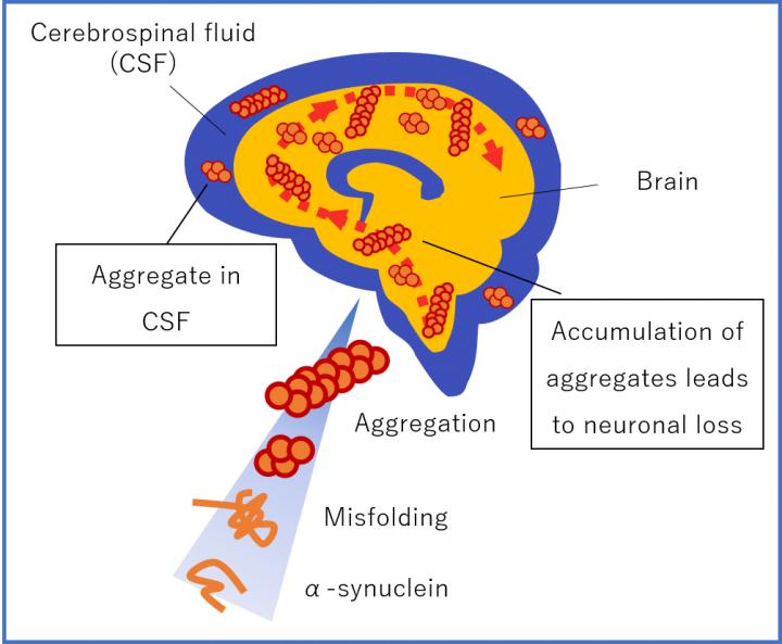 α-Synuclein Aggregation in Treatment of Parkinson's Disease