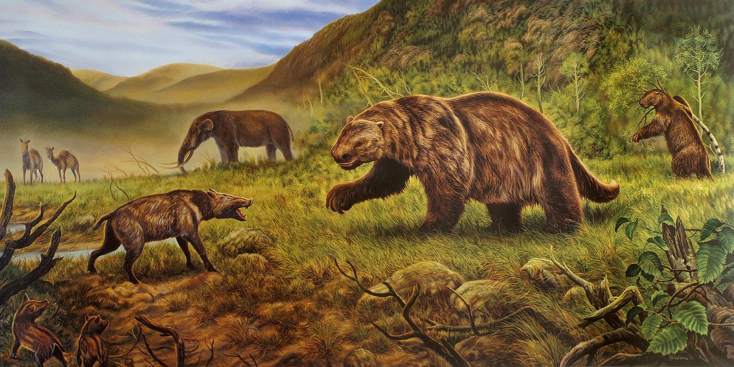 Megafauna in Arctic