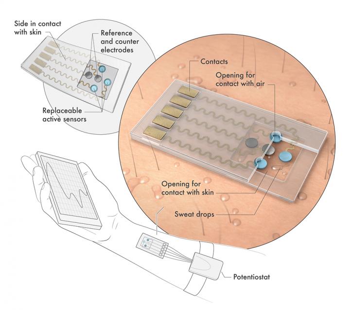 Schematic of Biosensor