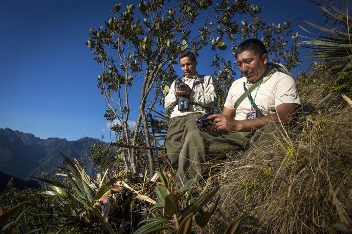 Andean Bear Researchers