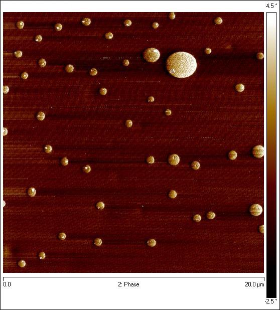 Detail of the Phase Separation in the Copolymer