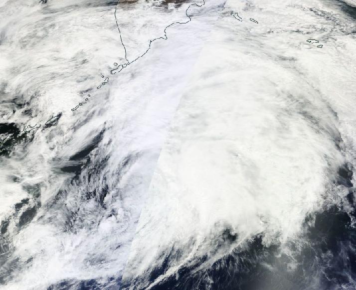 MODIS Image of Dolphin