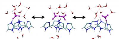 Viral Replication Process