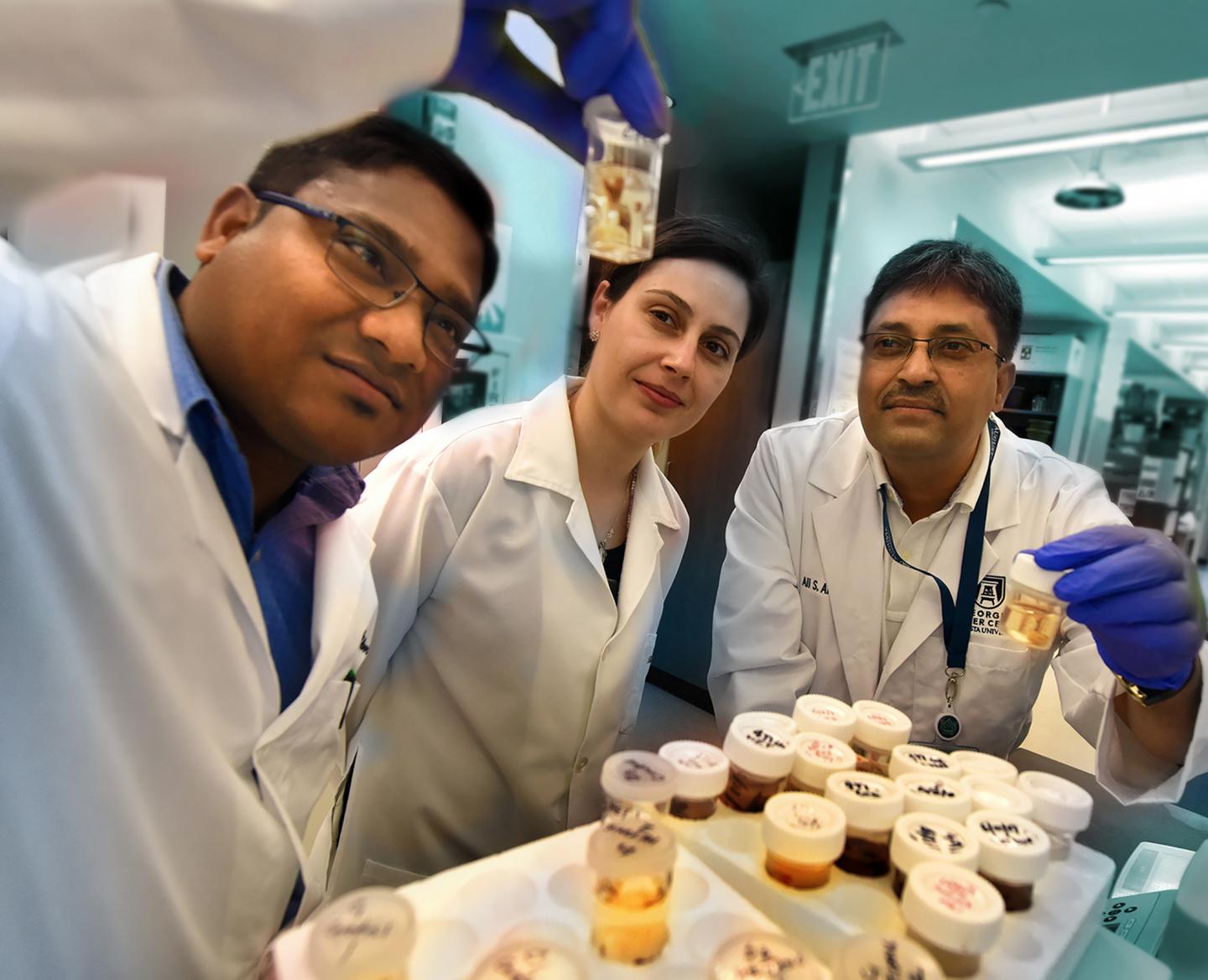 (from left) Drs. B. R. Achyut, Thaiz F. Borin and Ali S. Arbab