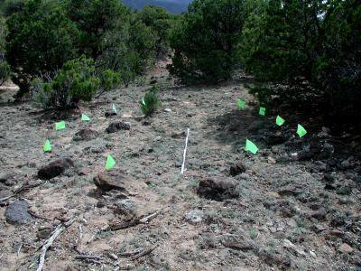 Remnants of Jicarilla Tipi