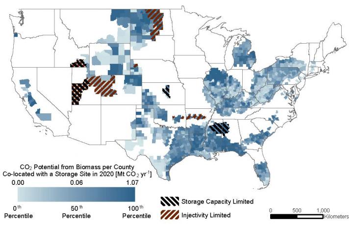 Distribution of Bioenergy With Carbon Capture and Storage Potential