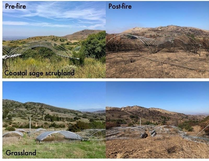 Deep Matters: Microbes’ Sensitivity to Environmental Change Depends on Soil Depth