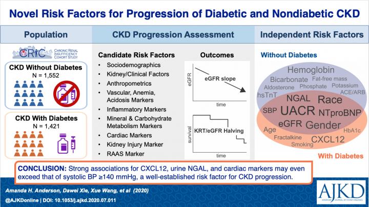 Novel Risk Factors for Progression of Diabetic and Nondiabetic CKD