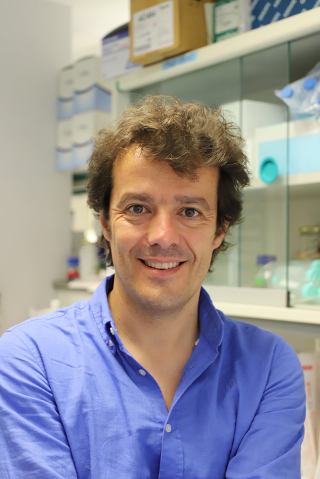 Dr. Pablo Menéndez, Josep Carreras Leukaemia Research Institute