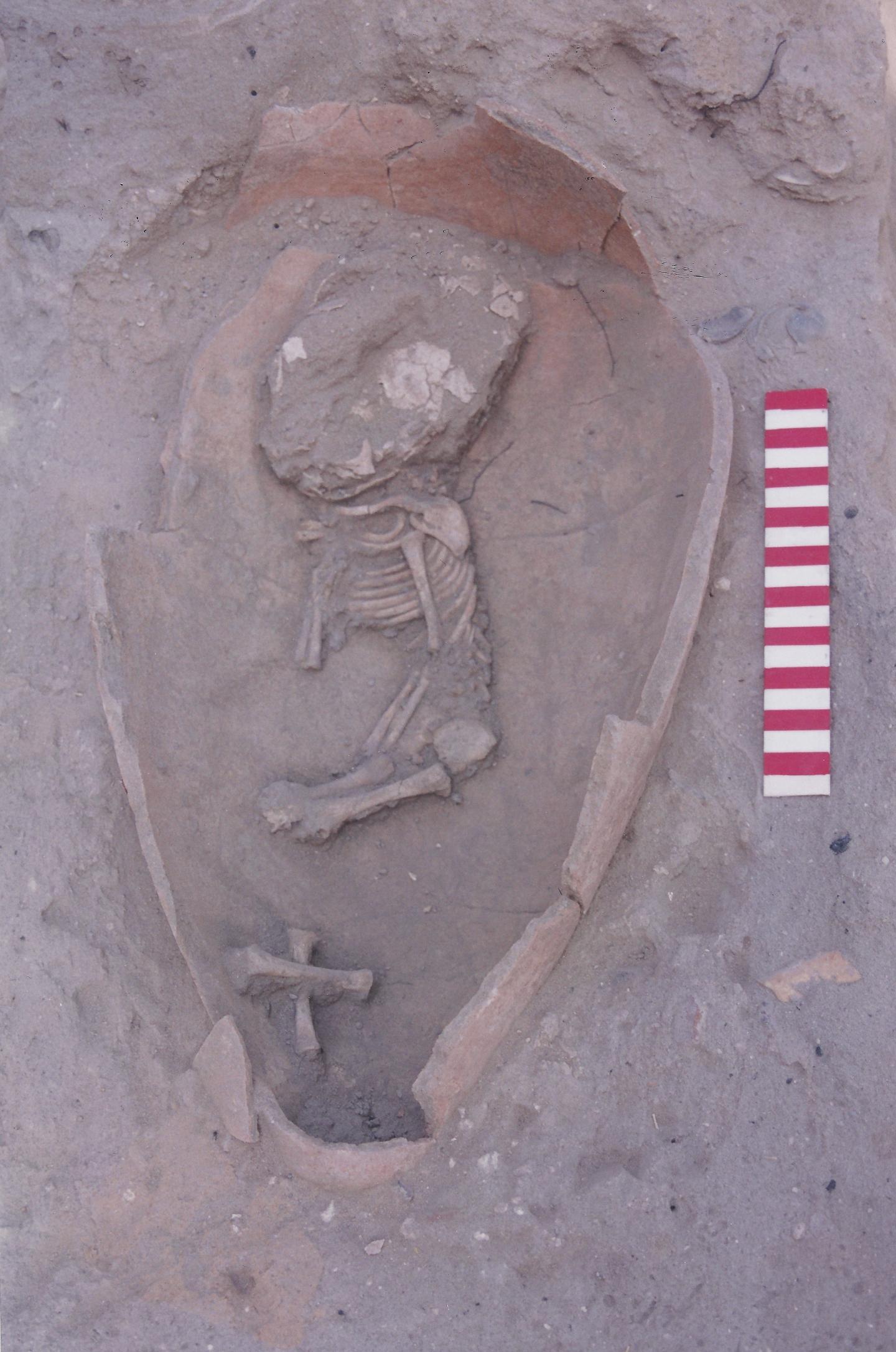 Ancient Philistine Genomes Provide Clues for Age-Old Mystery of the Mediterranean (2 of 9)