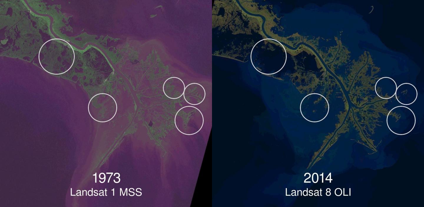 Coastal Land and Wetland Loss, Mississippi River Delta