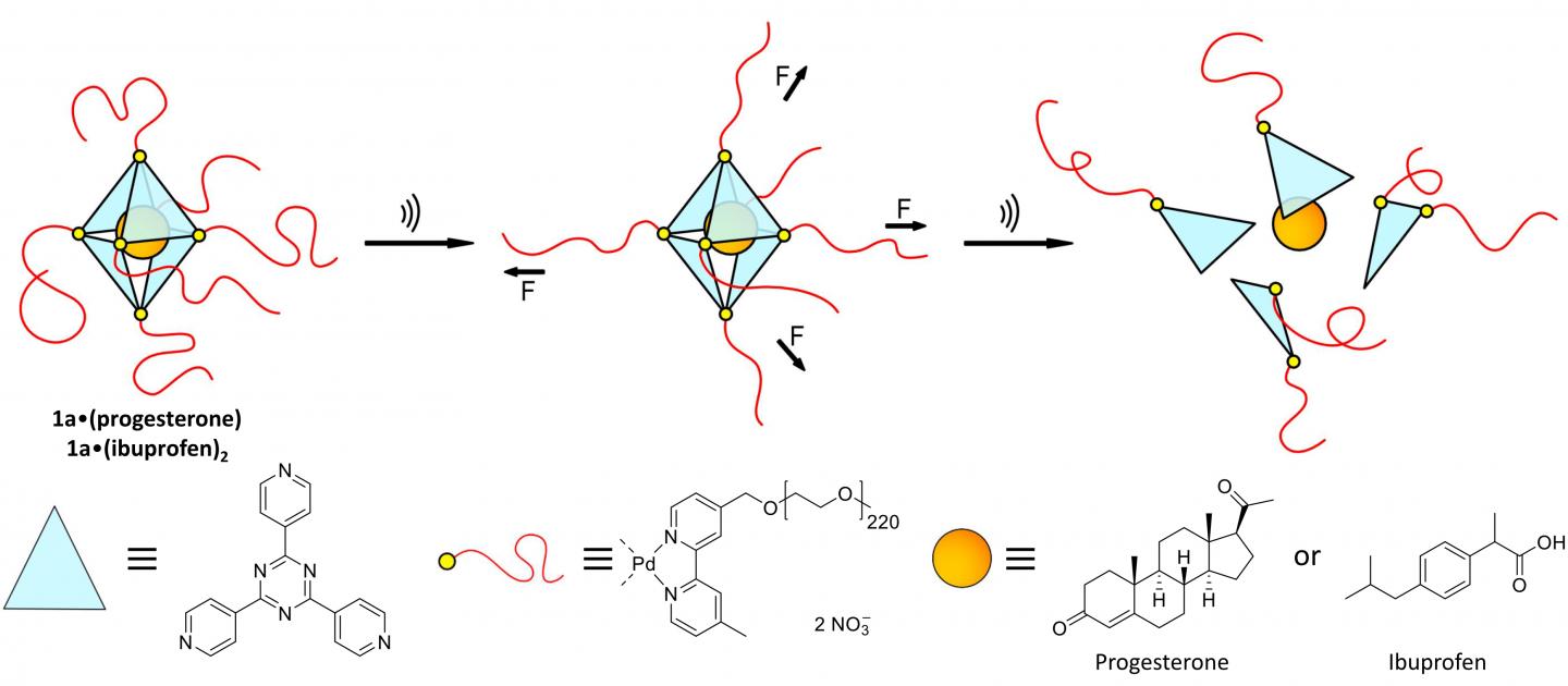 Graphical representation of the octahedral cage