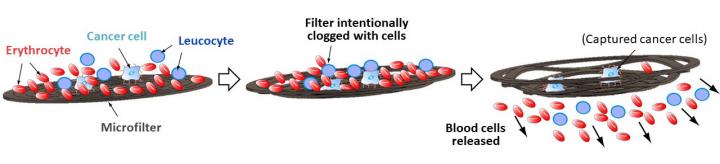 Method for detecting trace amounts of cancer cells in blood