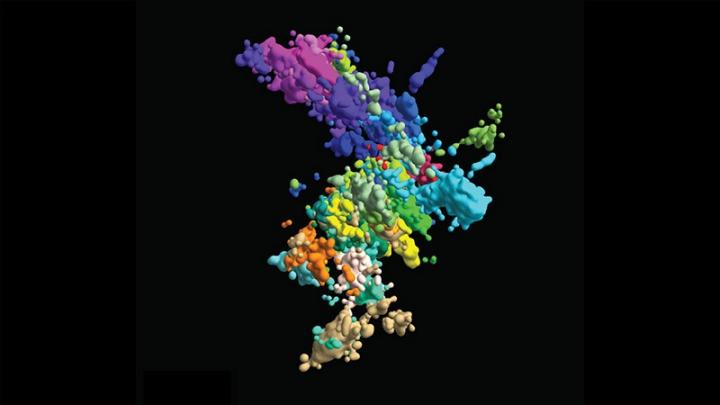 Chromatin structure