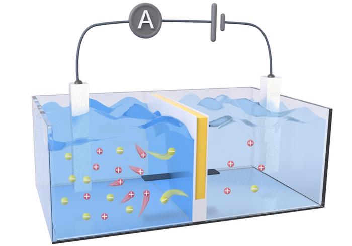 Esta batería de sal recoge energía osmótica donde el río se encuentra con el mar