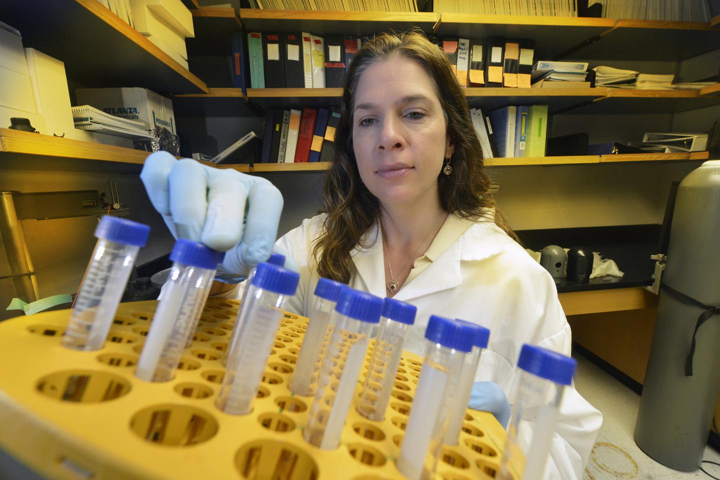 Dr. Jennifer C. Sullivan, Medical College of Georgia at Augusta University