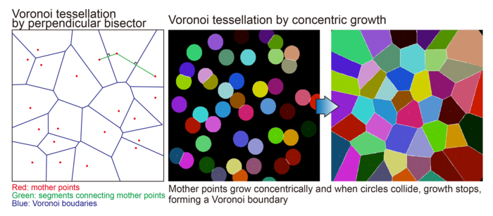 Figure 2. Tile pattern formation by Voronoi tessellation