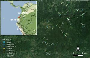 Map of Study Areas in Ecuador
