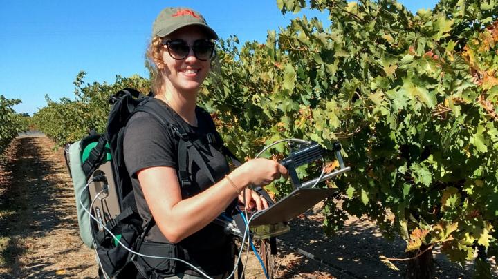 Kaitlin Gold, Cornell University