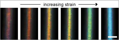Rainbow of Colors in Photonic Fibers