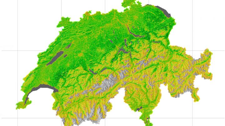 Biomass Production in Switzerland